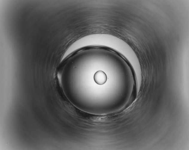 X0000095950132200801111357