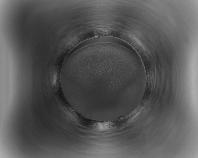 X0000095950134200801111357