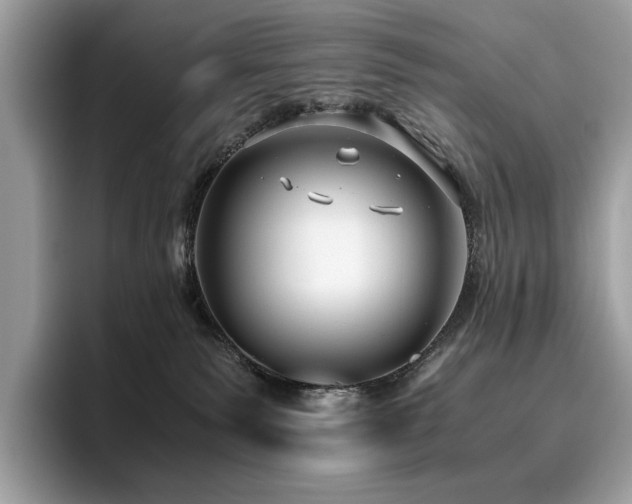 X0000095950135200801111357