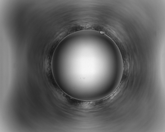 X0000095950136200801111357