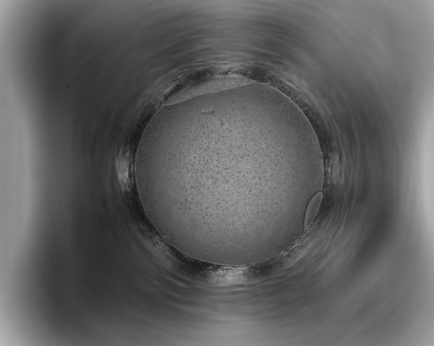 X0000095950138200801111357