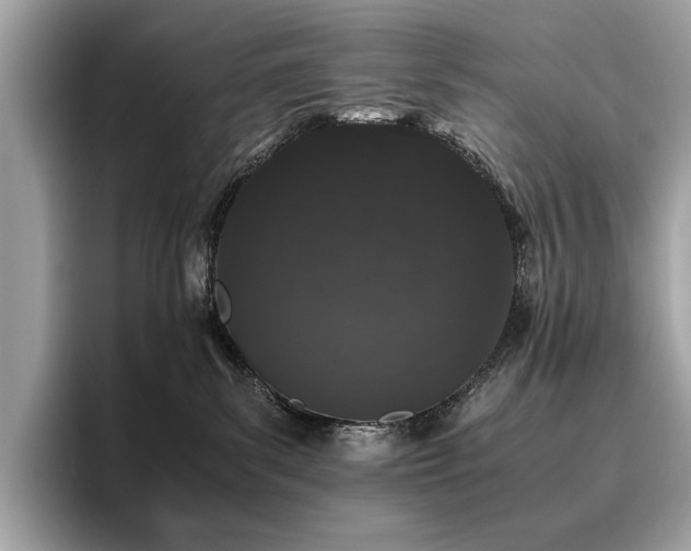 X0000095950139200801111357