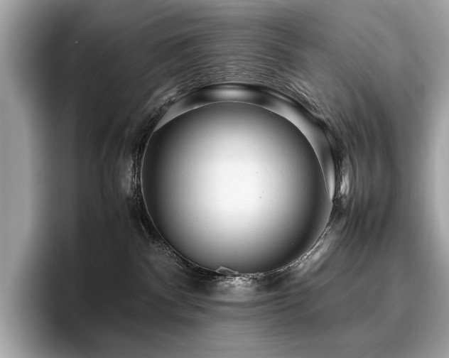 X0000095950140200801111357