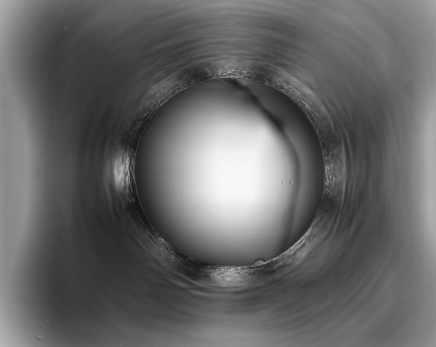 X0000095950142200801111357