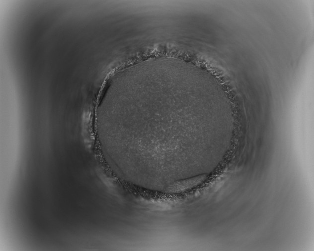 X0000095950144200801111357