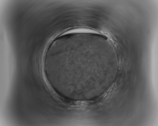 X0000095950145200801111357
