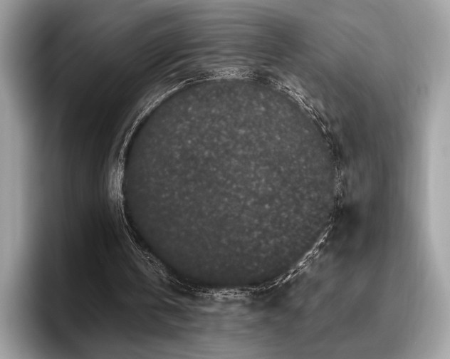 X0000095950146200801111357