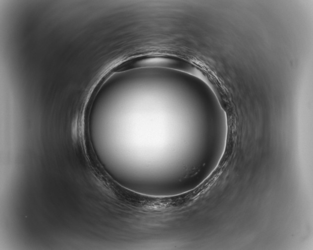 X0000095950148200801111357
