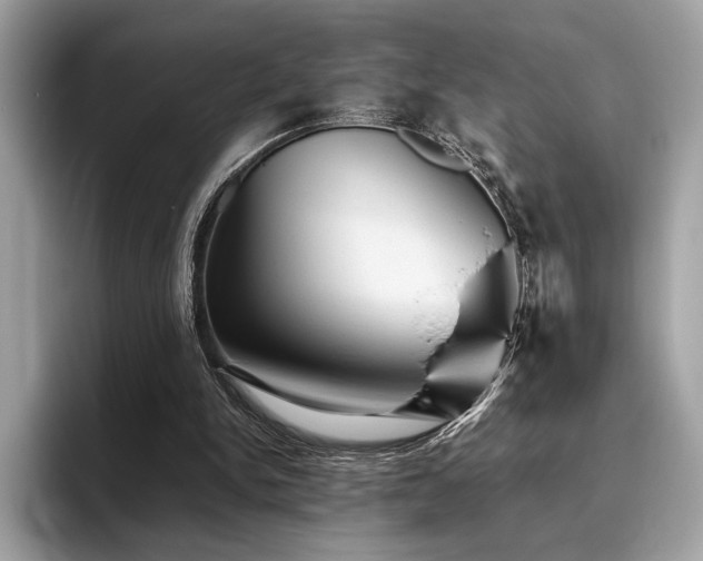 X0000095950150200801111357