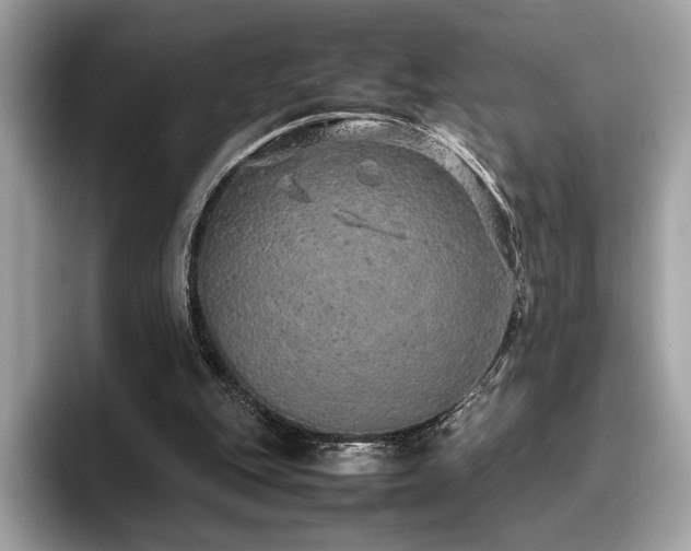 X0000095950151200801111357