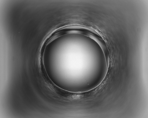 X0000095950152200801111357