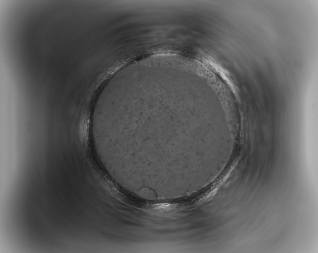 X0000095950153200801111357