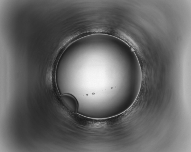 X0000095950155200801111357