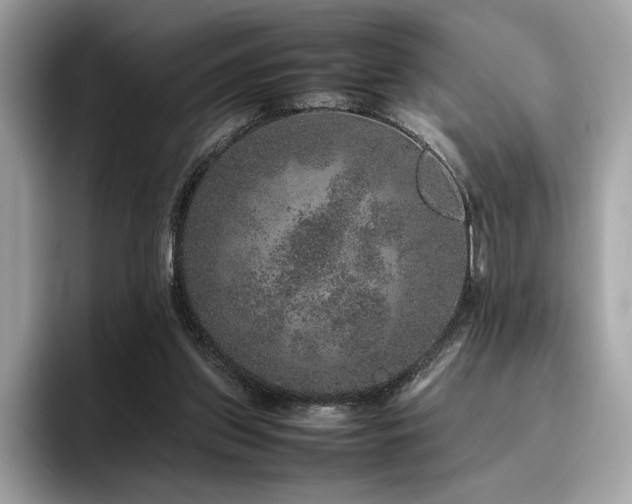 X0000095950157200801111357
