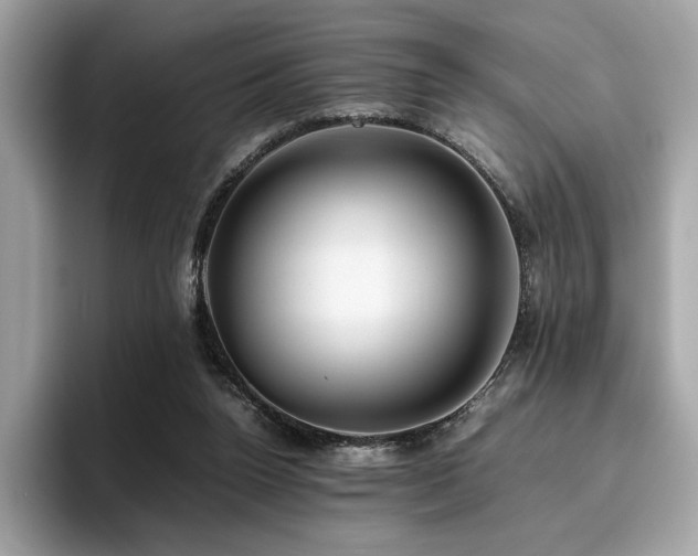 X0000095950160200801111357