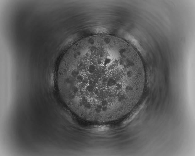 X0000095950161200801111357