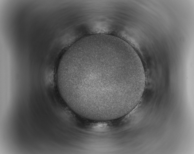 X0000095950162200801111357