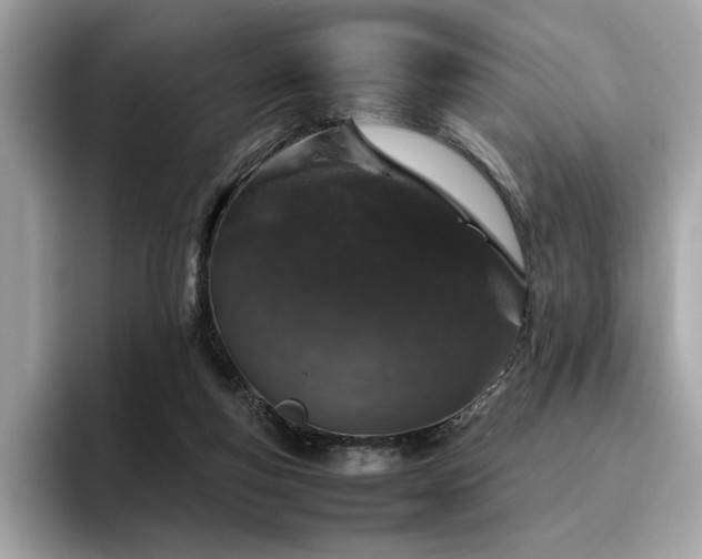 X0000095950163200801111357