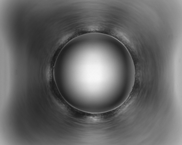 X0000095950164200801111357
