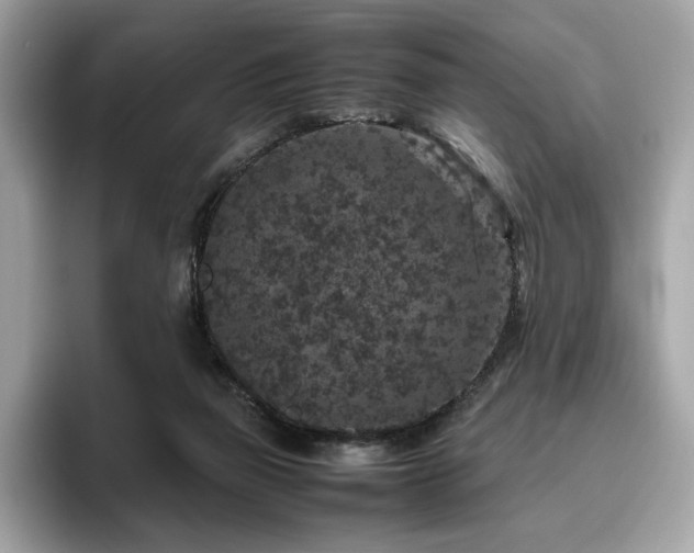 X0000095950165200801111357