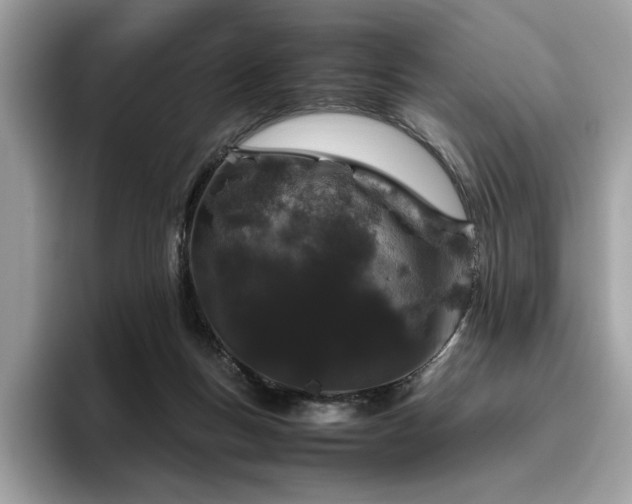 X0000095950167200801111357