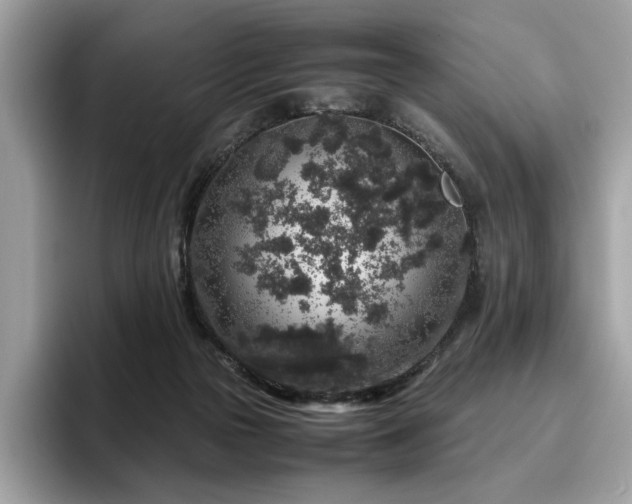 X0000095950169200801111357
