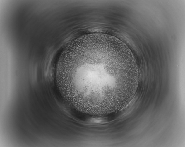 X0000095950171200801111357
