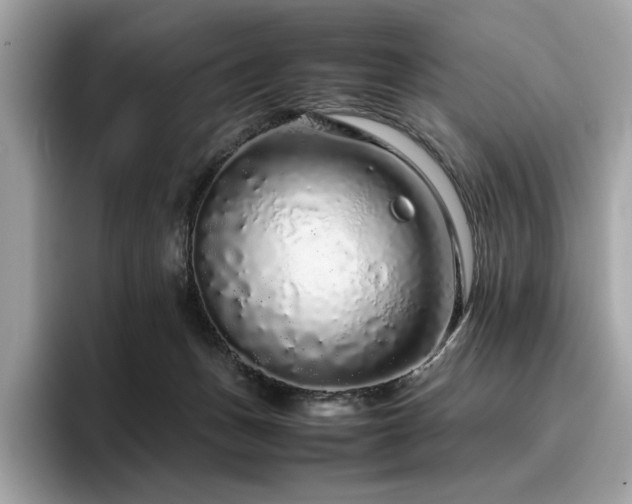 X0000095950175200801111357