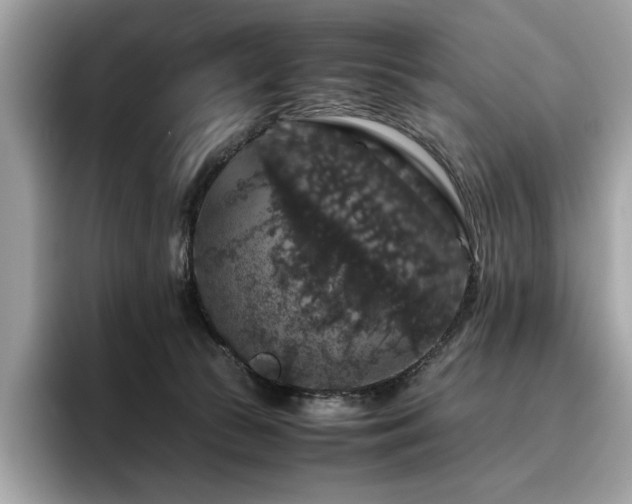 X0000095950177200801111357