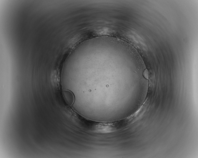 X0000095950179200801111357