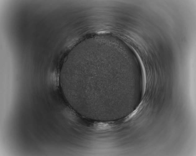 X0000095950180200801111357