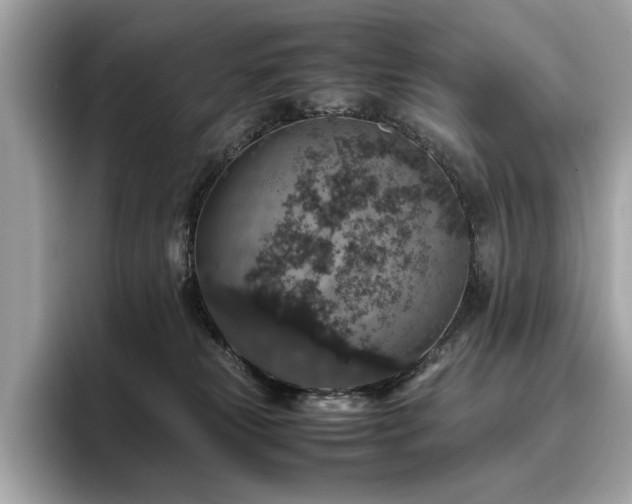 X0000095950181200801111357