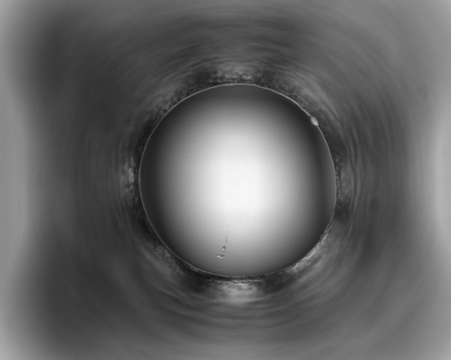 X0000095950183200801111357