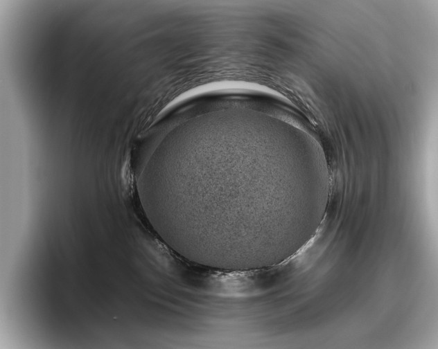 X0000095950186200801111357