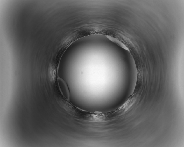 X0000095950188200801111357