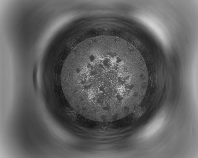 X0000095950189200801111357