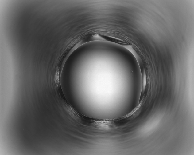 X0000095950190200801111357