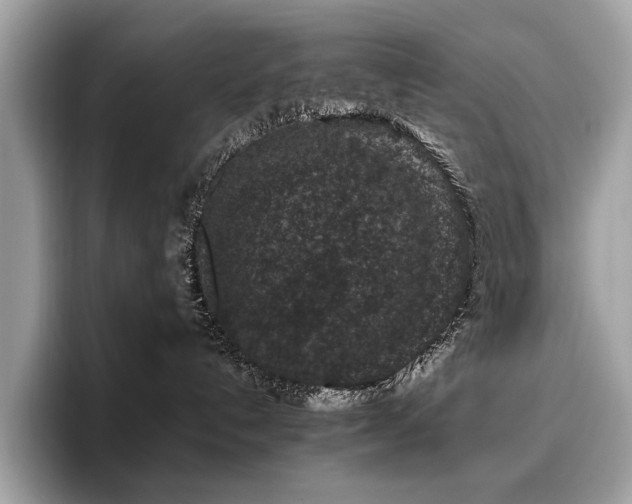 X0000095950192200801111357