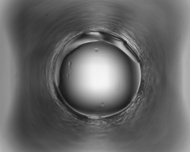 X0000095950193200801111357