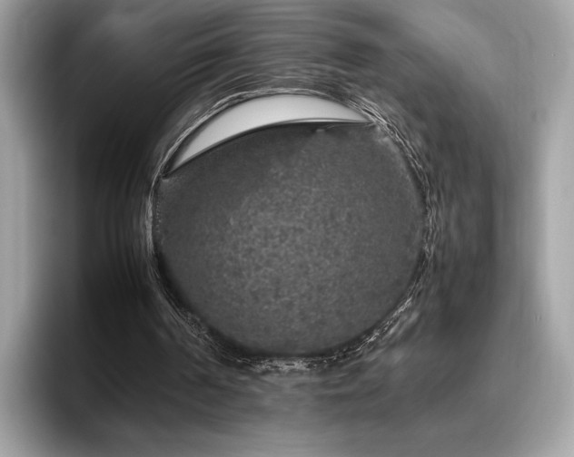 X0000095950194200801111356