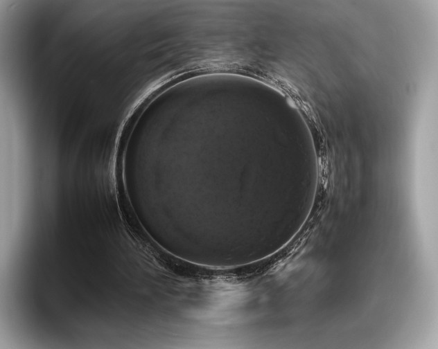 X0000095950196200801111356