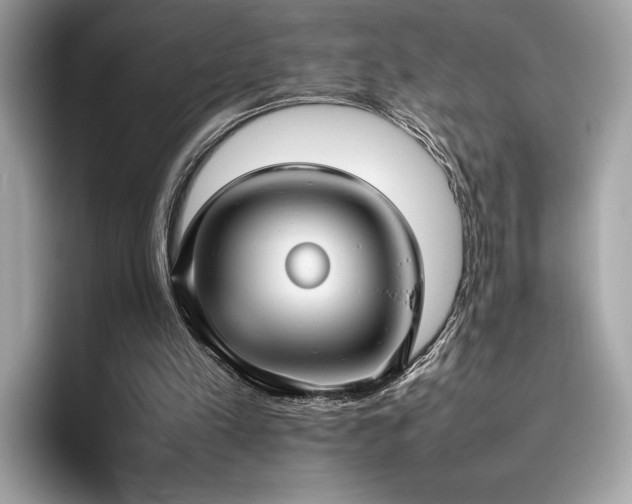 X0000095950197200801111356