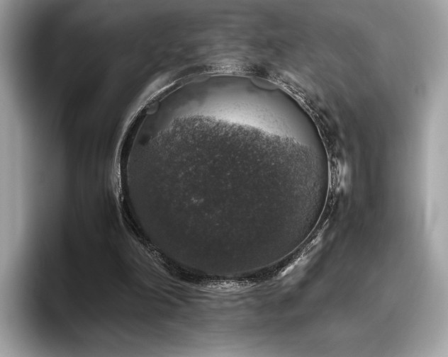 X0000095950198200801111356