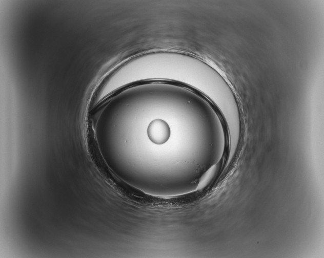 X0000095950199200801111356