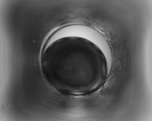 X0000095950200200801111356