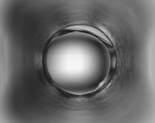 X0000095950201200801111356