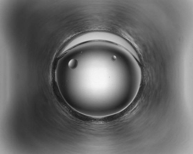 X0000095950203200801111356