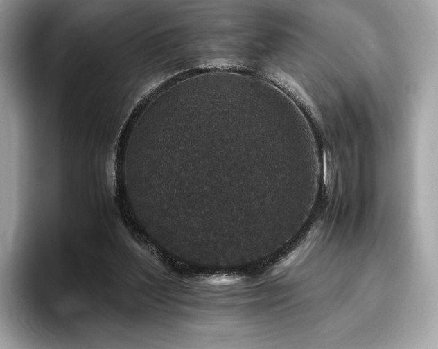 X0000095950204200801111356