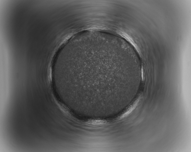 X0000095950205200801111356