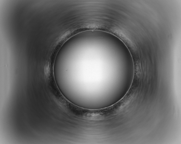 X0000095950208200801111356